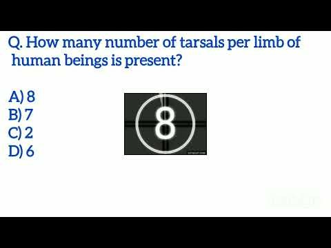 Multiple Choice Questions on Skeletal System