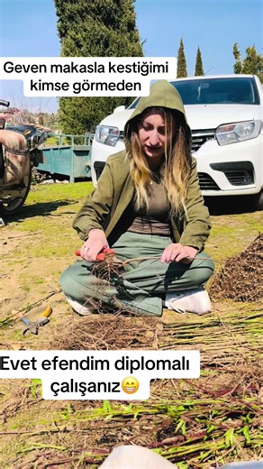 Şaka bir yana dikim aşamasından itibaren 2 yıl boyunca bebek gibi bakılarak büyütülen fidanların emeklerini almayı nasip etsin🙏 #keşfet #fy #fidan #keşfetteyizzz #kimsegörmeden