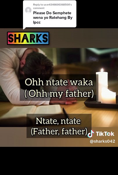 sharks on TikTok