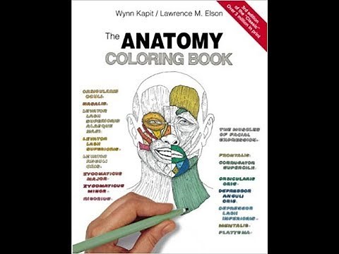 Flip Through The Anatomy Coloring Book