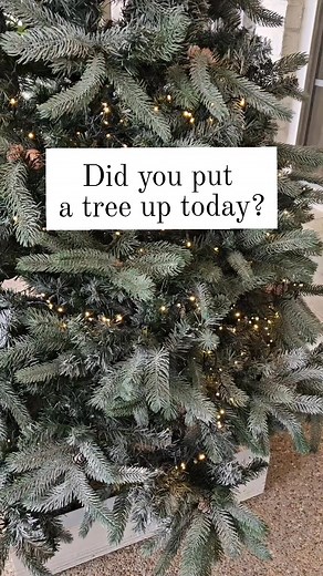 46K views · 1K reactions | First tree is up. . .kinda Link to lights https://amzn.to/47ljwA4 | Julie's Designs & Signs | Facebook