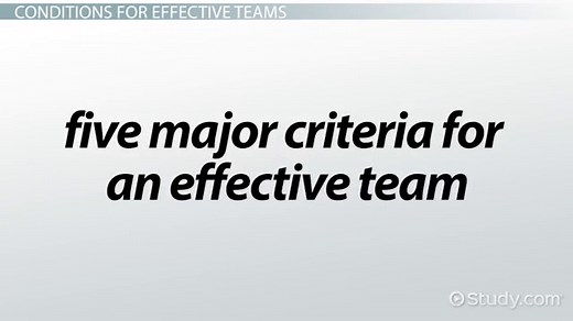 Working in a Team Environment | Principles, Skills & Strategies