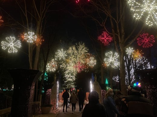Where to See Free Christmas Lights in the Triangle