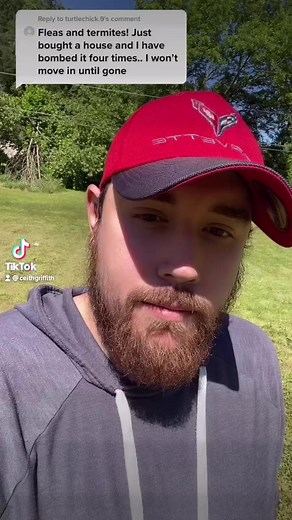 6.5K views · 3.2K reactions | Bug hacks!! | Ceith Griffith | Facebook