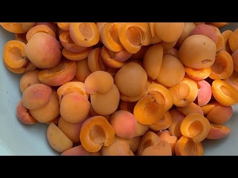 Preserving Apricots | 3 ways | Dried & 2 Jams