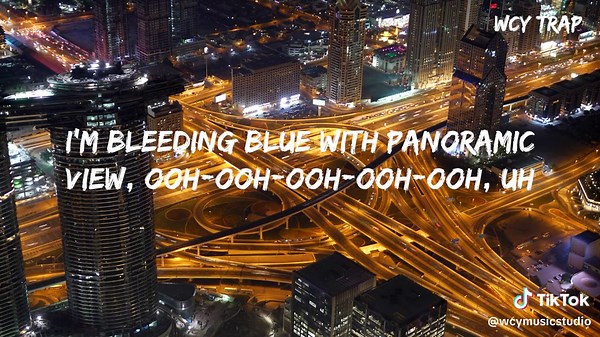 AWOLNATION - Panoramic View Lyrics Explained