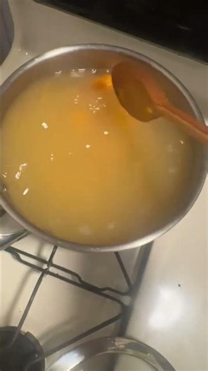 Ross Lynch cooking soup and a parrot chaos