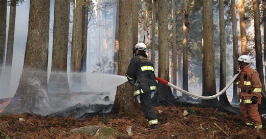 【動画】岩手・大船渡市の大規模山林火災、続く消火活動　東京消防庁が動画を公開