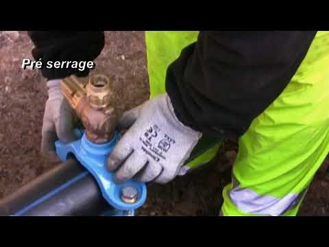 Tutoriel de pose collier ALPHACLIC prise en charge sur le dessus - SAINTE LIZAIGNE - [Branchement]