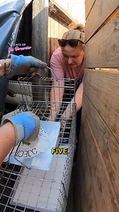 72K views · 2.3K reactions | New Rescue Alert! First, we know many...