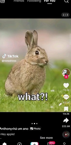 Hey Apple: Discover the Trend Behind the Meme