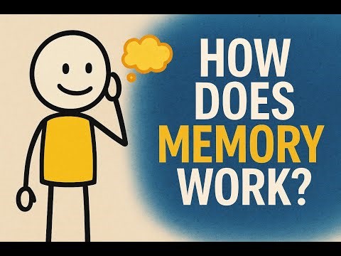 How Does Memory Work? The Hidden Science of Remembering