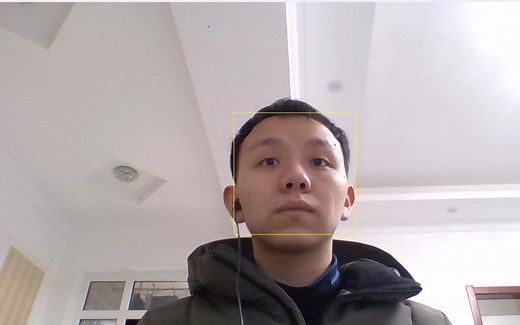 matlab实时人脸识别