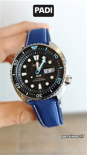 srpg19 en acción ☑️ #seiko #seikoturtle #turtle #padi #seikopadi