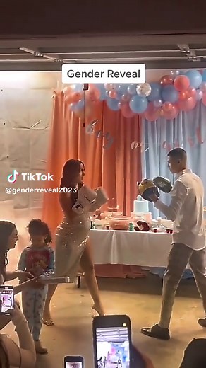 Twin Gender Reveal Baby Shower Decorations Ideas