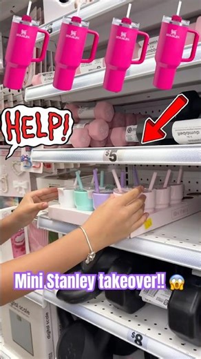 HELP! She grabbed EVERY Mini Stanley #shorts #stanley #shopping