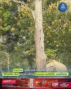 The Central government has made it clear that it is not considering any amendments to the Wild Life (Protection) Act, 1972, to grant states greater autonomy in dealing with wild animal attacks. This statement was made in Parliament in response to a query from Communist Party of India (Marxist) Rajya Sabha MP V Sivadasan. Union Minister of State for Environment, Kirti Vardhan Singh, clarified that the management of human-wildlife conflict falls primarily under the purview of state and union terri