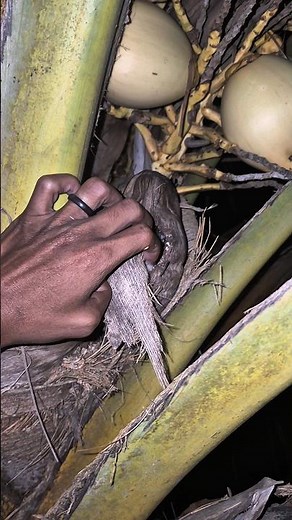 waw😱 almost failed this harvest #nature #animals