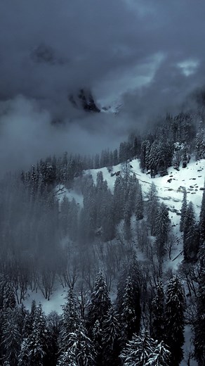 These videos were shot in January 2023. The snowfall seems to be a little late in the Himalayas this year. I am expecting that January will bring a lot of snowfall 😍 Videos shot by @sayannath . . . #himalayas #manali #himachalpradesh #sethan #winterwonderland | Isa Khan Travel