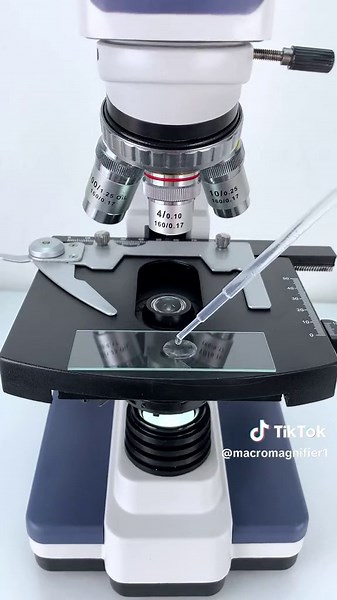 Sea Water at 400x Magnification | Discover the Fascinating World Beneath the Microscope