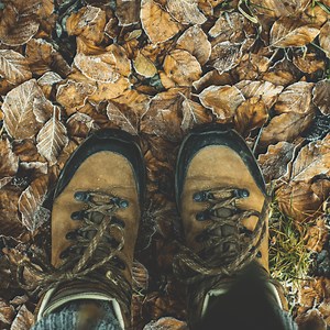 Yellow Springs Hiking