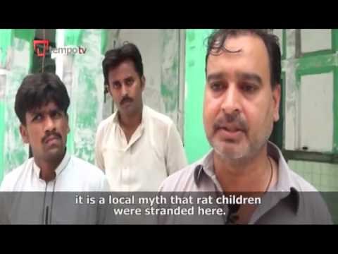 The Plight of the Rat Children in Pakistan
