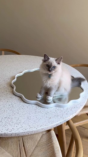 KMART Slay Era Apartment Decor Unboxing and Styling