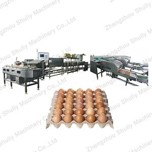 [Hot Item] Industrial Duck Egg Washing Drying Sterilization and Sorting Processing Line