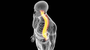 Medical 3d Animation Human Spine Stock Footage Video (100% Royalty-free) 15102172 | Shutterstock