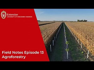 Field Notes Episode 13: Agroforestry