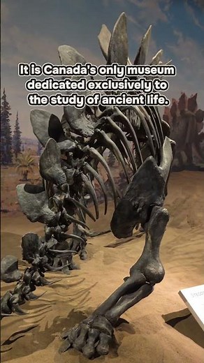 We visited the.LARGEST dinosaur museum in Canada! #royaltyrellmuseum #drumheller