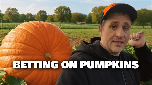 The curious case of this year's giant pumpkin feud