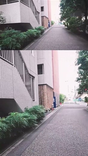 TOKYO MORNING WALK: Calm Sunrise, Breakfast & Rainbow Bridge Views (Tamachi/Minato-ku) ☕