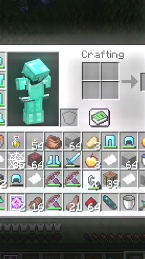 who is the invisible player at the end? Minecraft smp #minecraft #lifestealsmp #deadliestsmp #smp