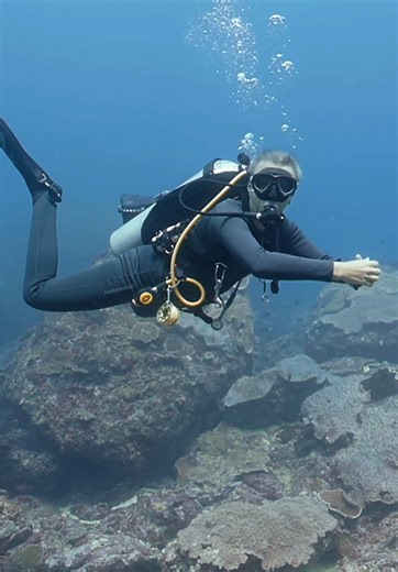 Who did it better? The Ancient Master or the Student? 🐢⚖️🤿 Two masters of the glide in one frame! ✨ Watch how perfectly this scuba diver mirrors the body position of the hawksbill turtle. This isn't just about looking cool - it's about physics. When diving Nusa Penida, you are surrounded by the most efficient swimmers on Earth. While a Penida diving trip offers encounters with powerful Mola Mola and sprinting Trevally, the humble Hawksbill Turtle is the true teacher of efficiency on the reef s