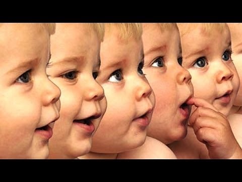 China's Cloning Factory