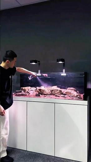 DIY Natural Stream Biome Step-by-Step, Stream Biotope Masterclass: From Wild to Aquarium (DIY Guide)