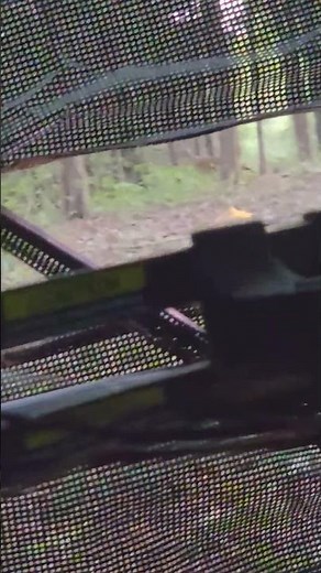 EPIC DEER SHOT WITH WALMART CROSSBOW