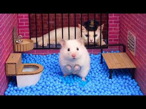 Hamster escapes DIY obstacle course maze for Pets in real life | Hamster vs Police Cat… Who Wins🐹