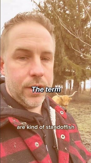 What “Standoffish” Really Means And Why Some Pets Act That Way 😼