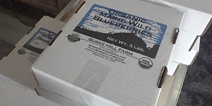 Maine blueberry farm will deliver their berries right to you