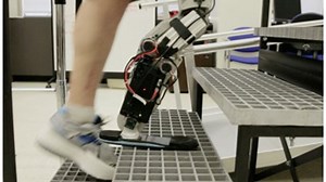 Man with first mind-controlled bionic leg climbs Chicago’s 103-story Willis Tower