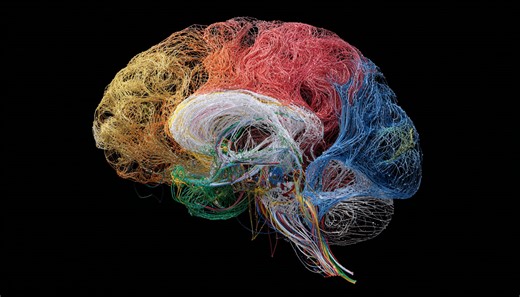 Google Knowledge Panels With Color Table Elements