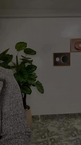 How to Introduce Yourself as a Virtual Assistant | Segun Popoola posted on the topic | LinkedIn