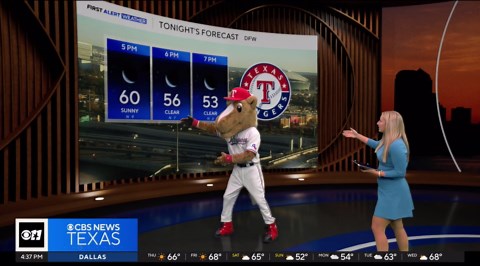 Feeling a little "horse"? It may be the pollen count