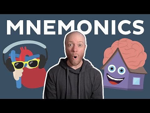 Learn anatomy with humor - mnemonics | Kenhub
