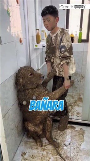 De Perro Sucio a León 🦁✨ #Shorts