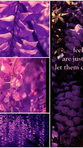 (see in comment)Demon slayer girls as flowers 🌸💠🍁🌹🔮🌺💗#suzume #suzumenotojimari #anime #music #life