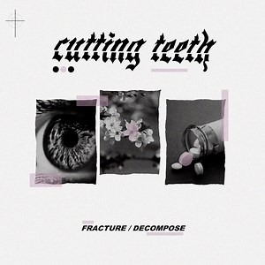 EP REVIEW: Fracture/Decompose - Cutting Teeth - Distorted Sound Magazine