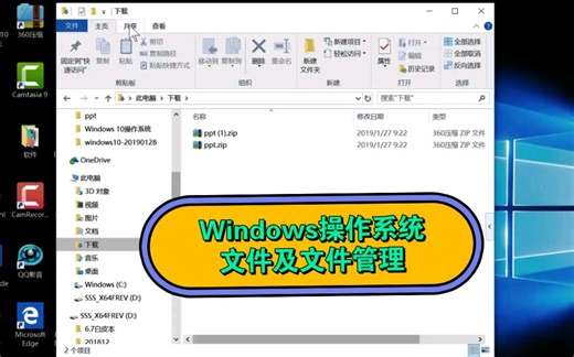Windows操作系统_文件及文件管理
